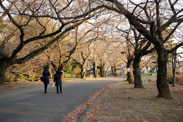 緑ヶ丘霊園